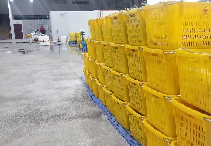 1591842138133803.jpg 生鲜配送"QQ截图20200611102151.jpg"/