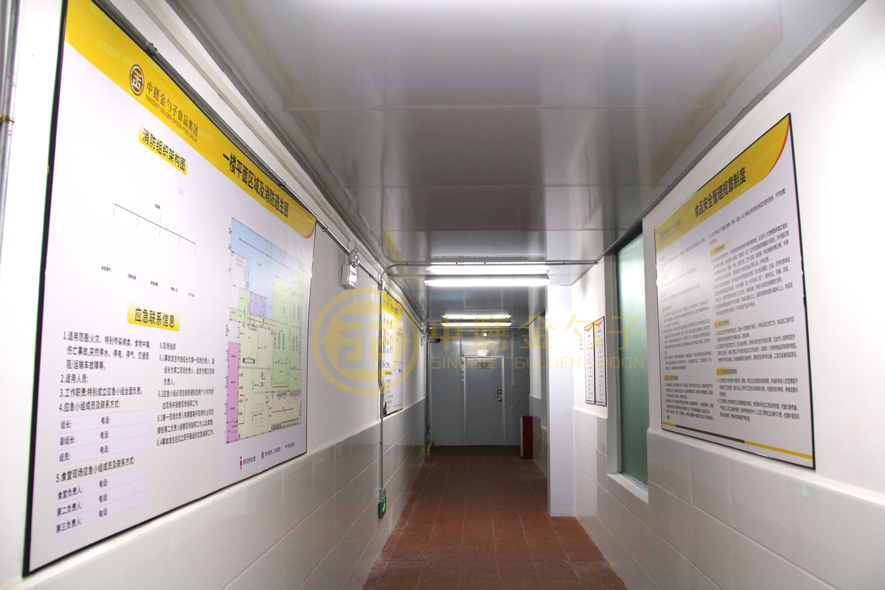 1595215584853828.jpg 净菜车间02.jpg