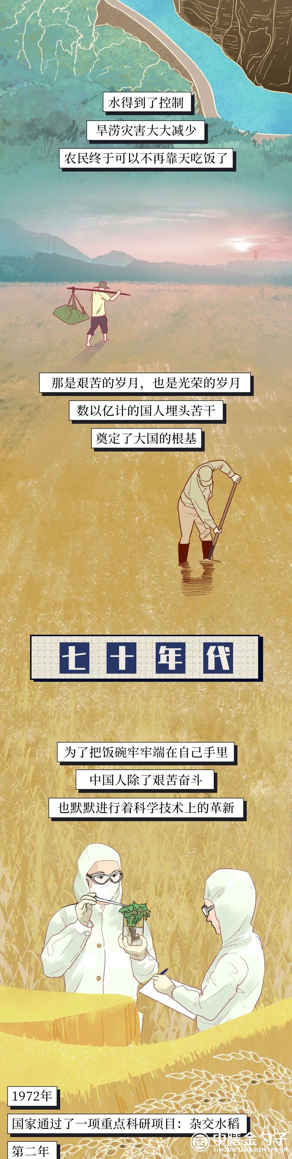 1634537531107803.jpg 7.jpg