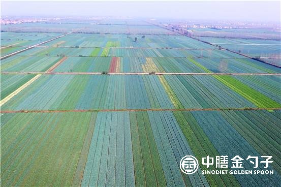 1639117114185505.jpg 1639117114185505.jpg